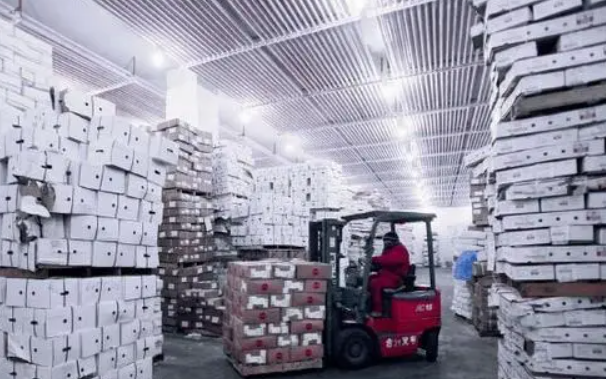 冷鏈倉儲系統(tǒng)的多元管理策略及其應(yīng)用優(yōu)勢